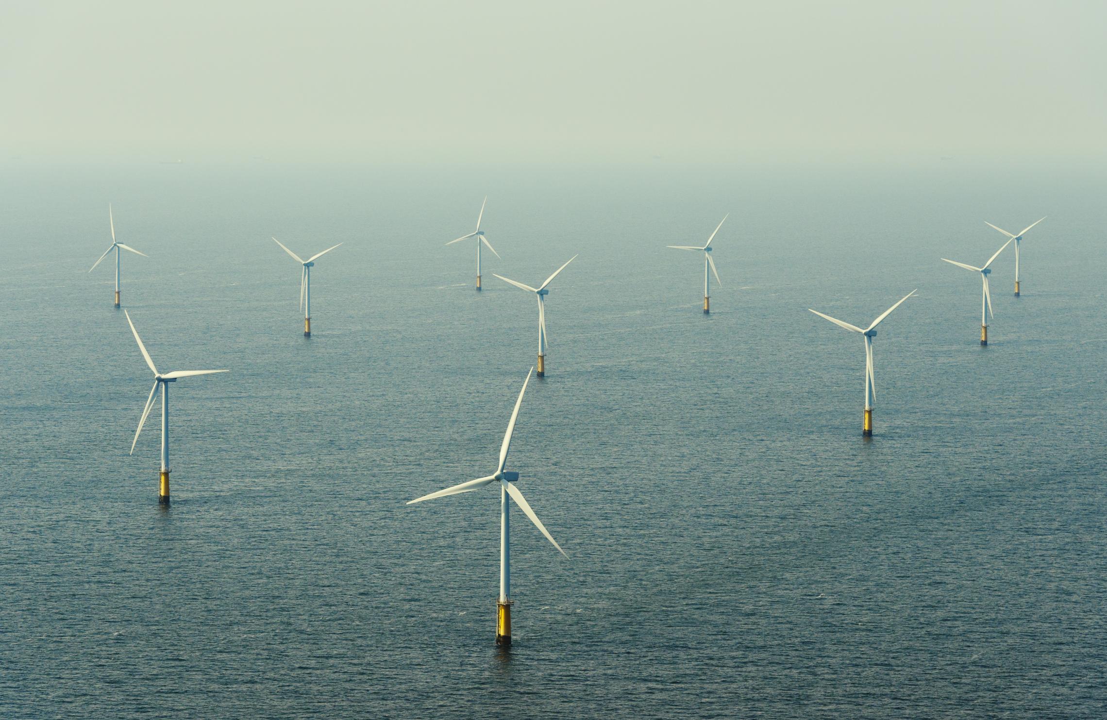 Dominion Offshore Wind Project To Undergo Environmental Review