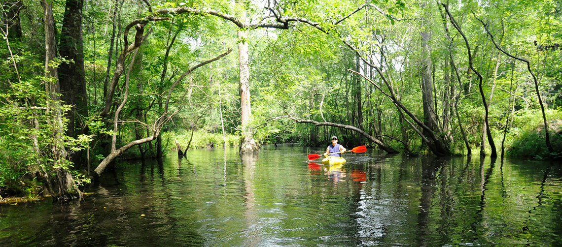 cape-fear-river-is-not-a-swamp-epa-confirms-southern-environmental-law-center