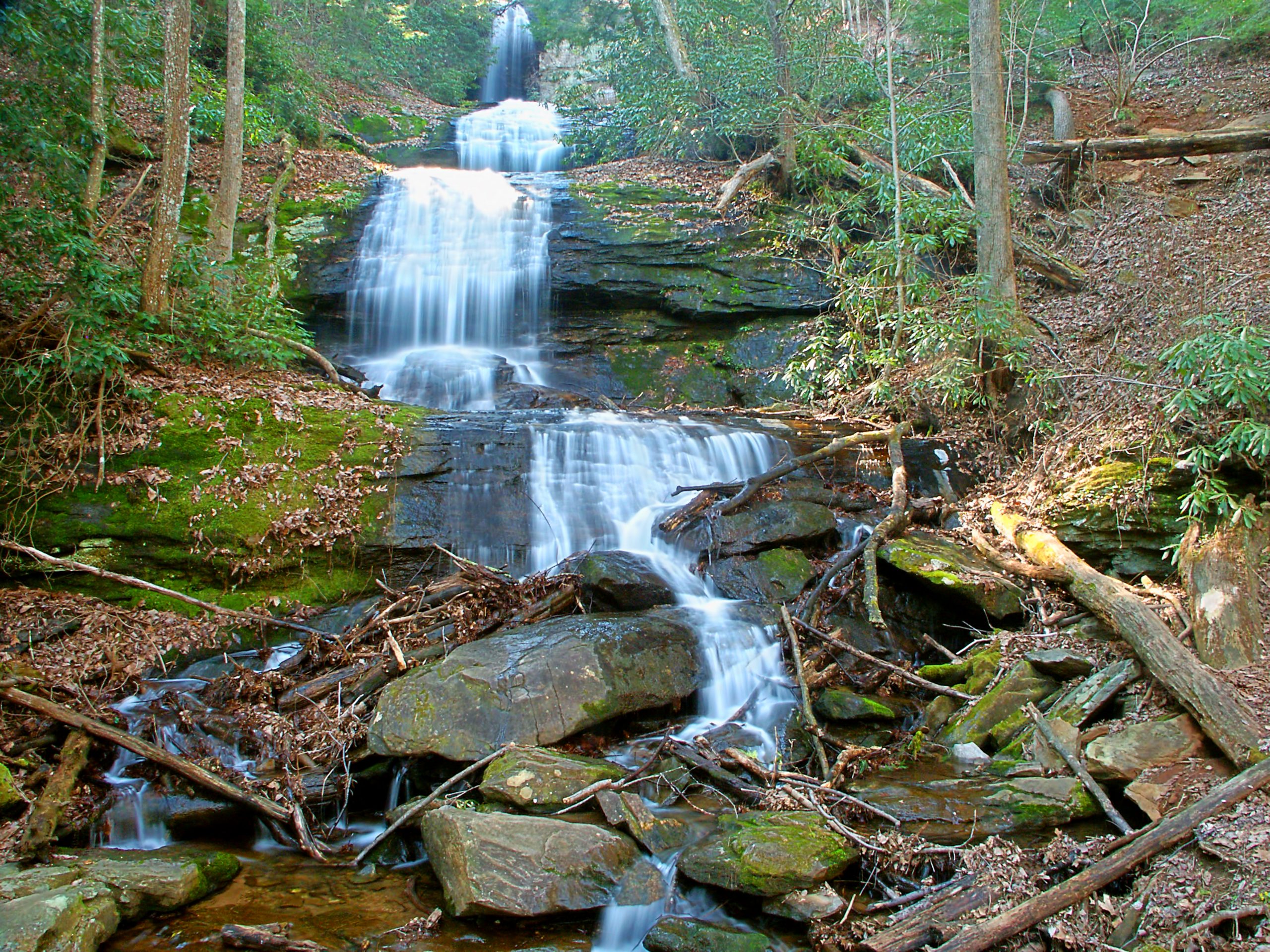 U.S. Forest Service’s Chattahoochee National Forest management project ...